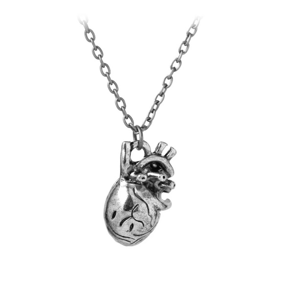 Jewelry - 3d Anatomical Heart Chamber Necklace